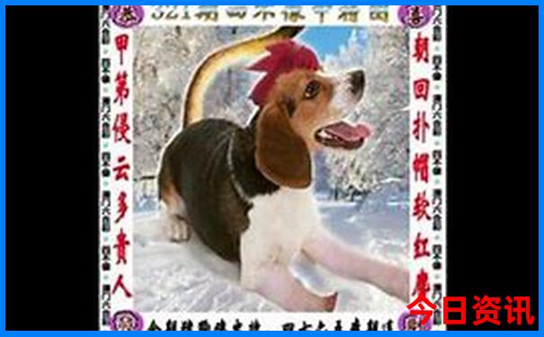 来重庆必去的地方有哪些