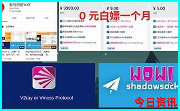 生肖49码表