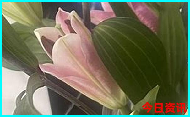 7月中旬去哪里玩