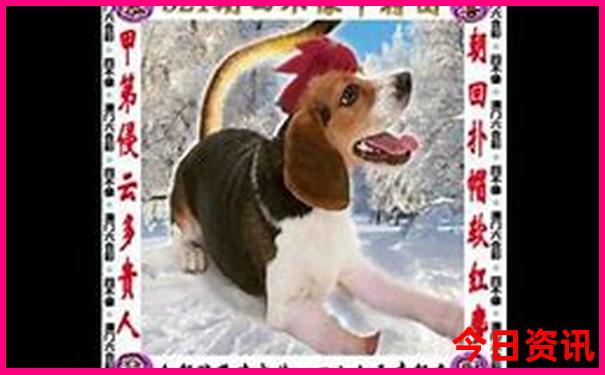 北京现在哪里好玩的景点